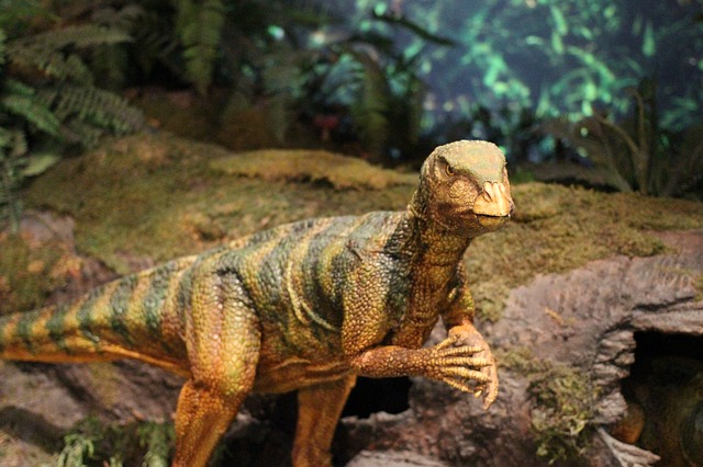 Museo-Paleontologico-dei-dinosauri-Borgo-Celano.jpg